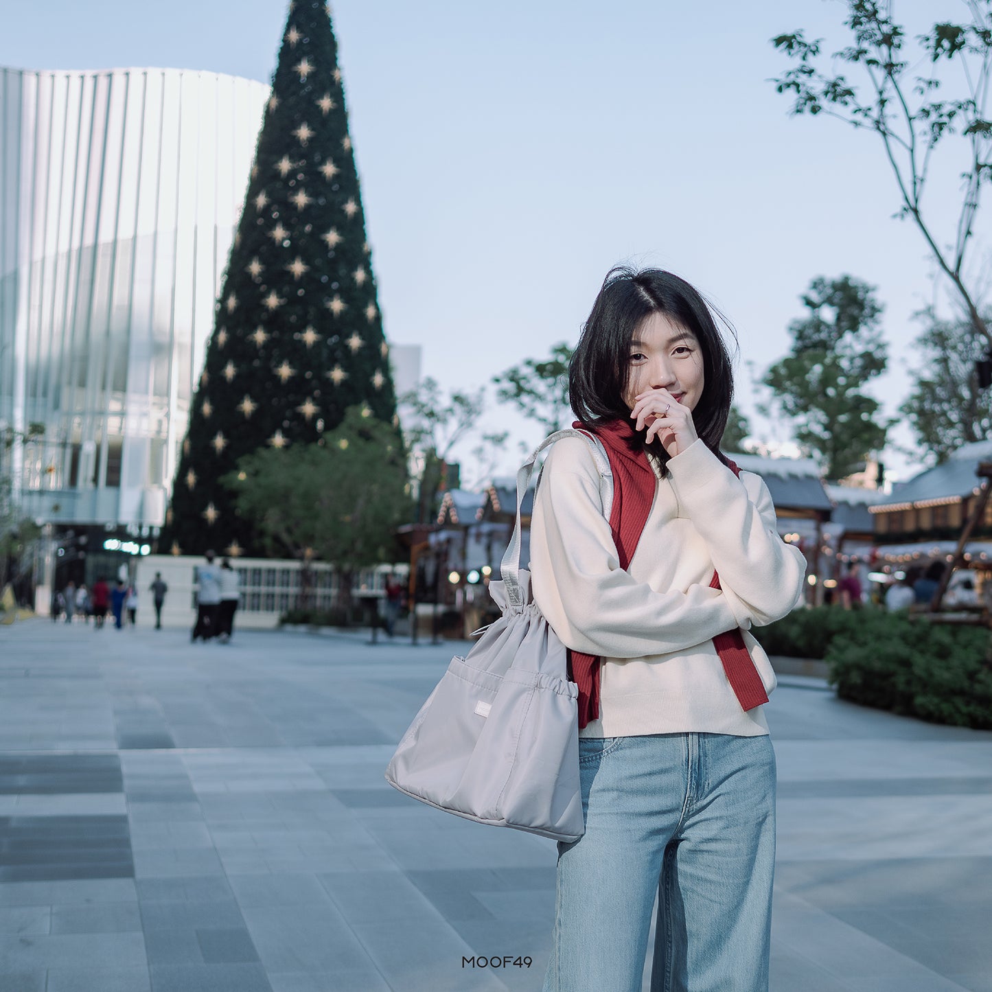 Dumpling Grey Bag